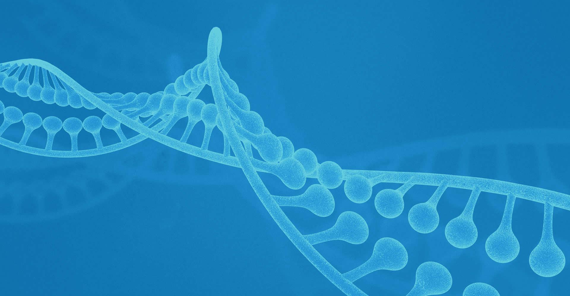 专注进而专业，专注进而极致